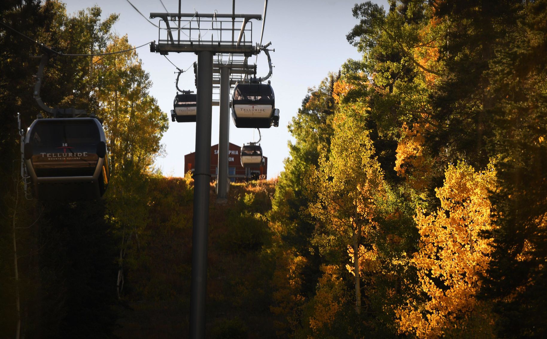 100619-news-aspens 12.JPG